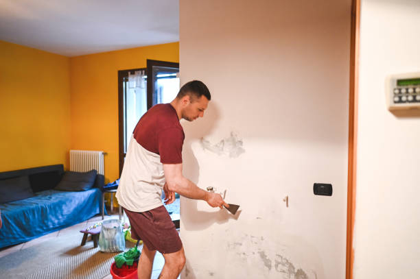 Best Office Mold Removal Services  in Mishawaka, IN